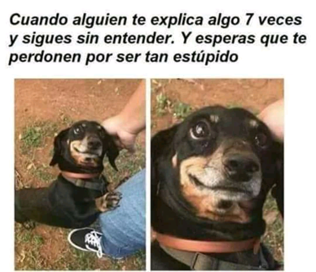 El link de la
          imagen se ha roto, pon los monos a trabajar!